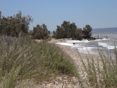 Le sentier de la Randonnée des Amis, Berre-l'Étang - photo 2