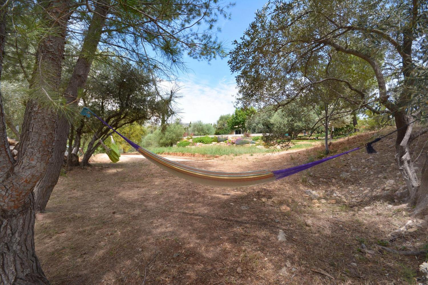 L'Aire du Garlaban, Aubagne - photo 7