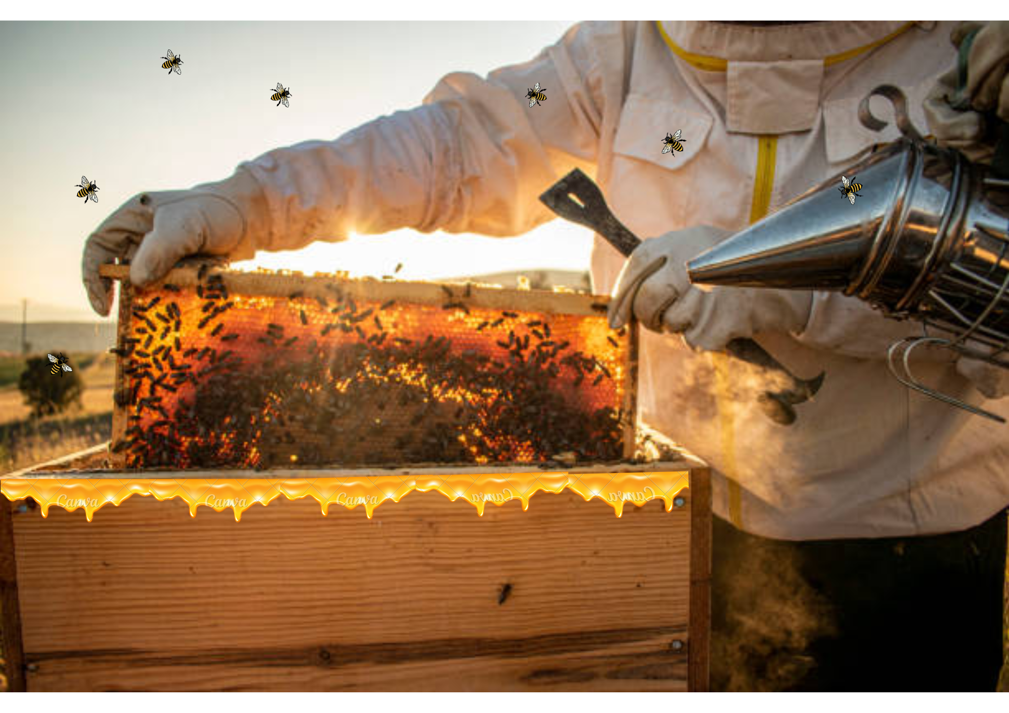 Atelier familial « De la ruche au miel » dans le cadre de la "Fête de la Nature" 2026