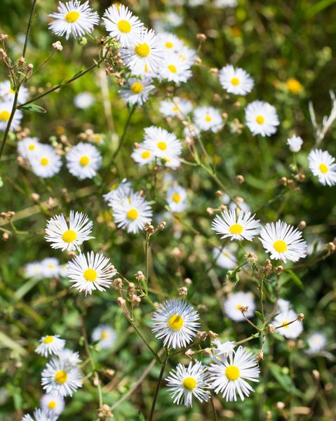 Boucle panoramique - Lugrin