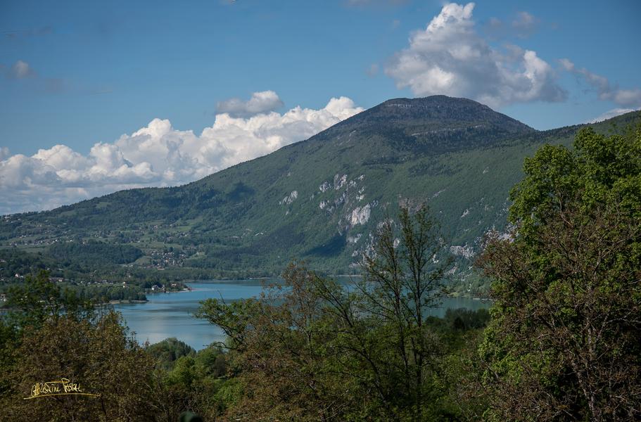 Christine Pascal - Photographe nature Aiguebelette