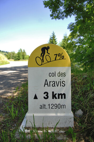 Col des Aravis - borne
