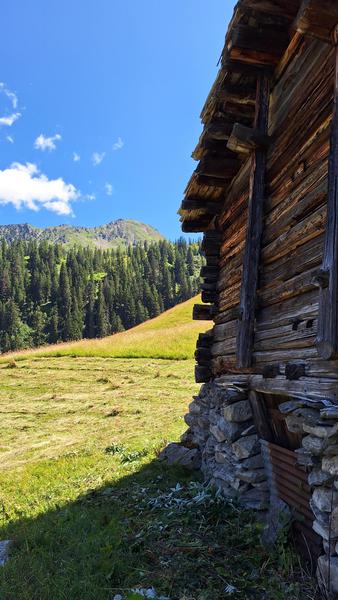 chalet d'alpage