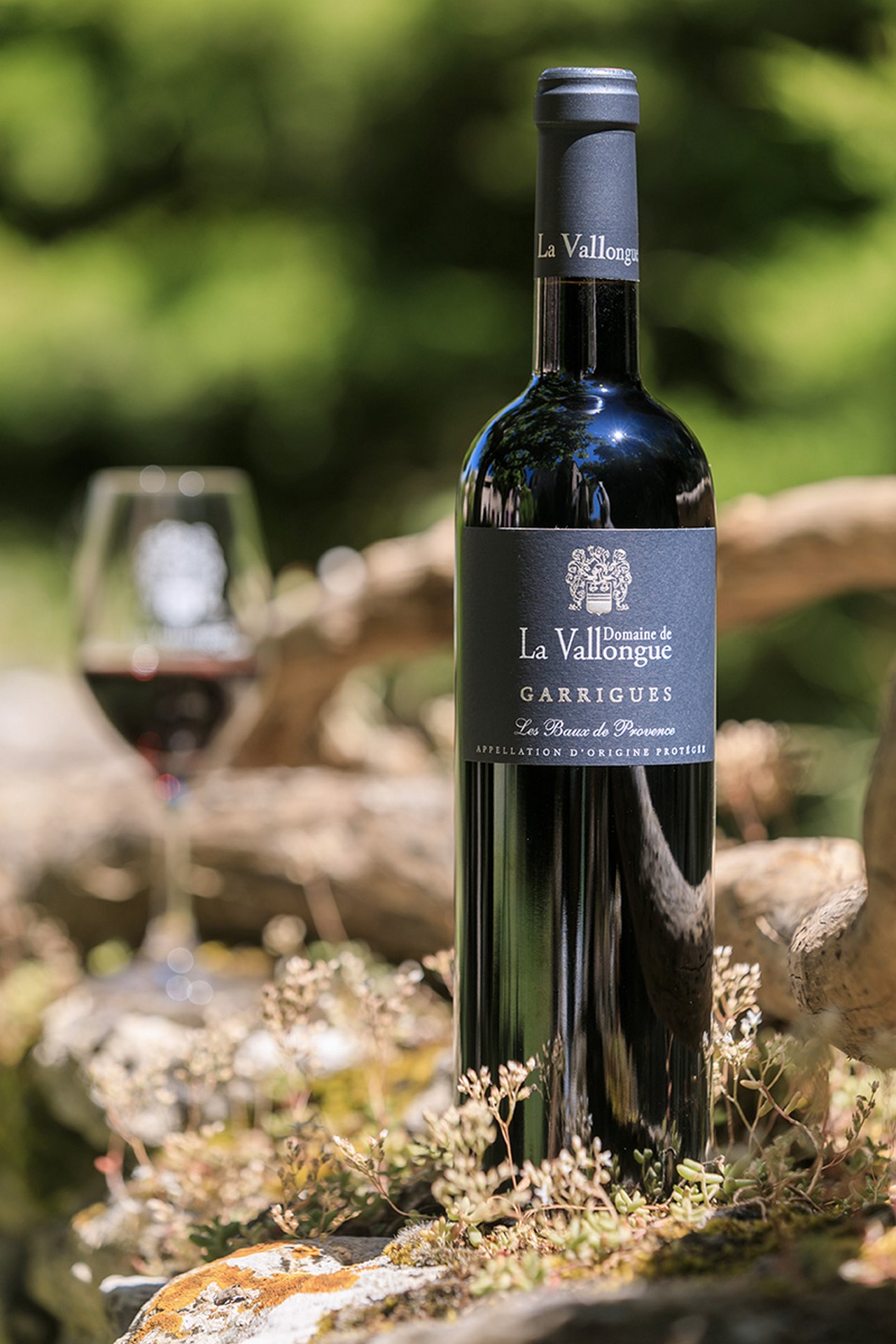 Domaine de la Vallongue - photo 4