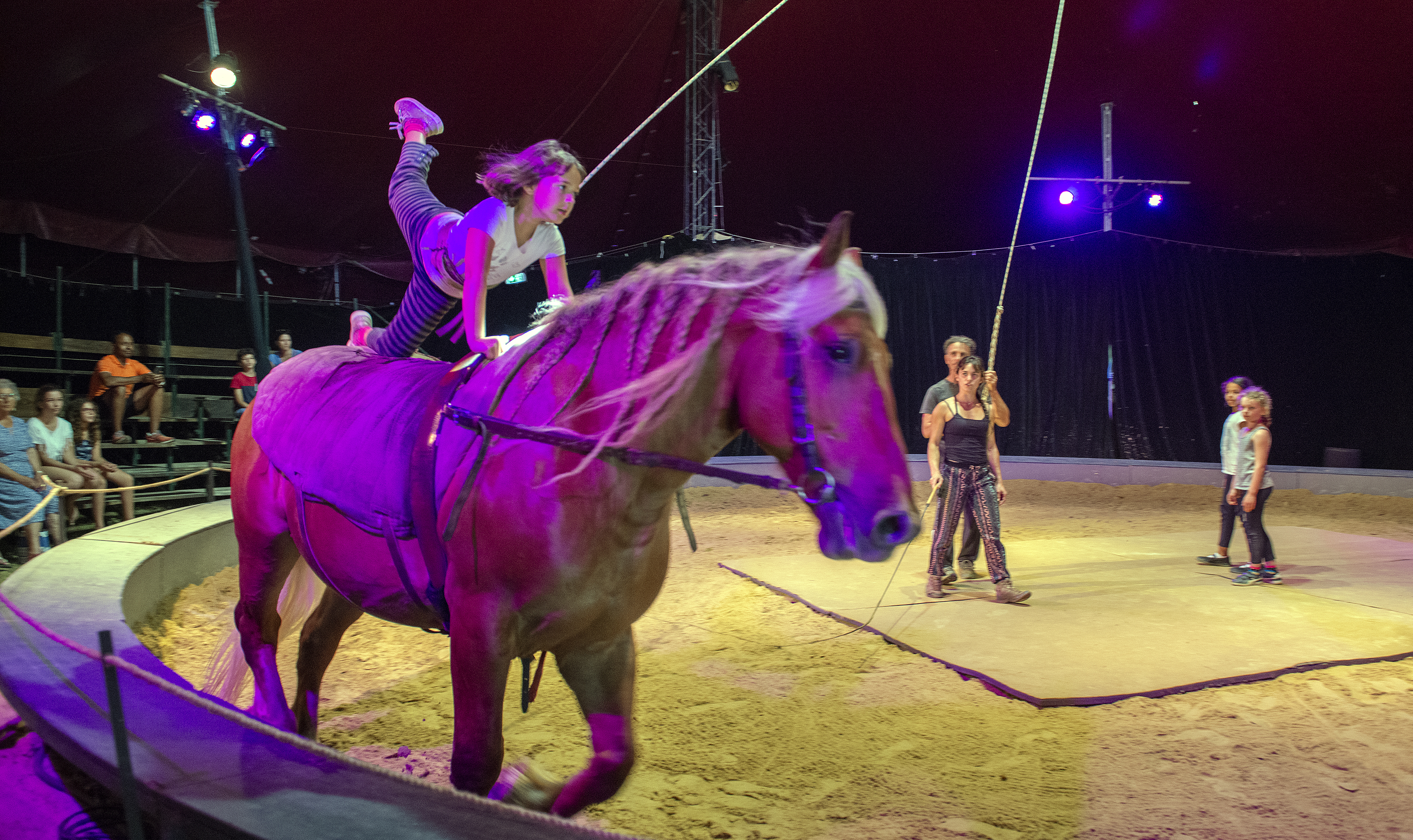Initiation à la voltige à cheval avec ARDEVAC