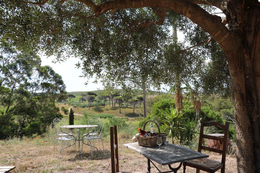Brocante et vide Grenier au Domaine La Tourraque_Ramatuelle