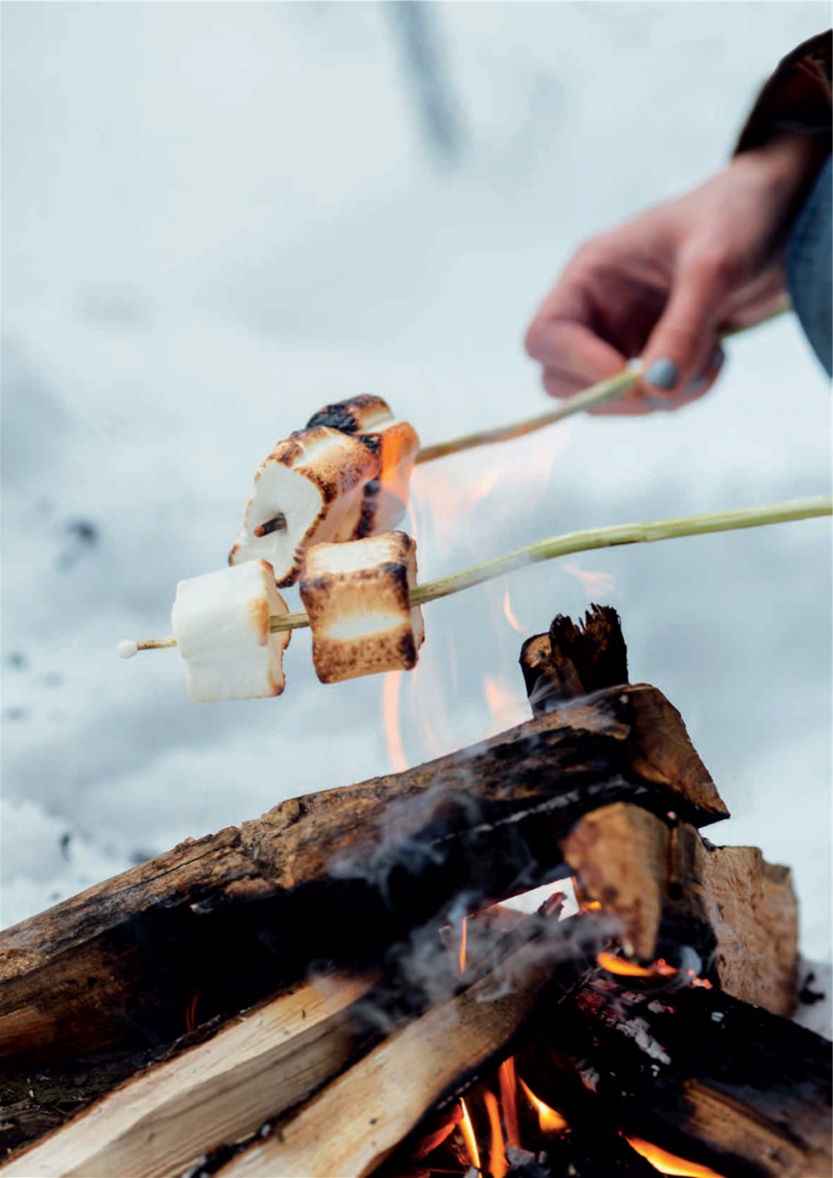 Soirée feu de camp