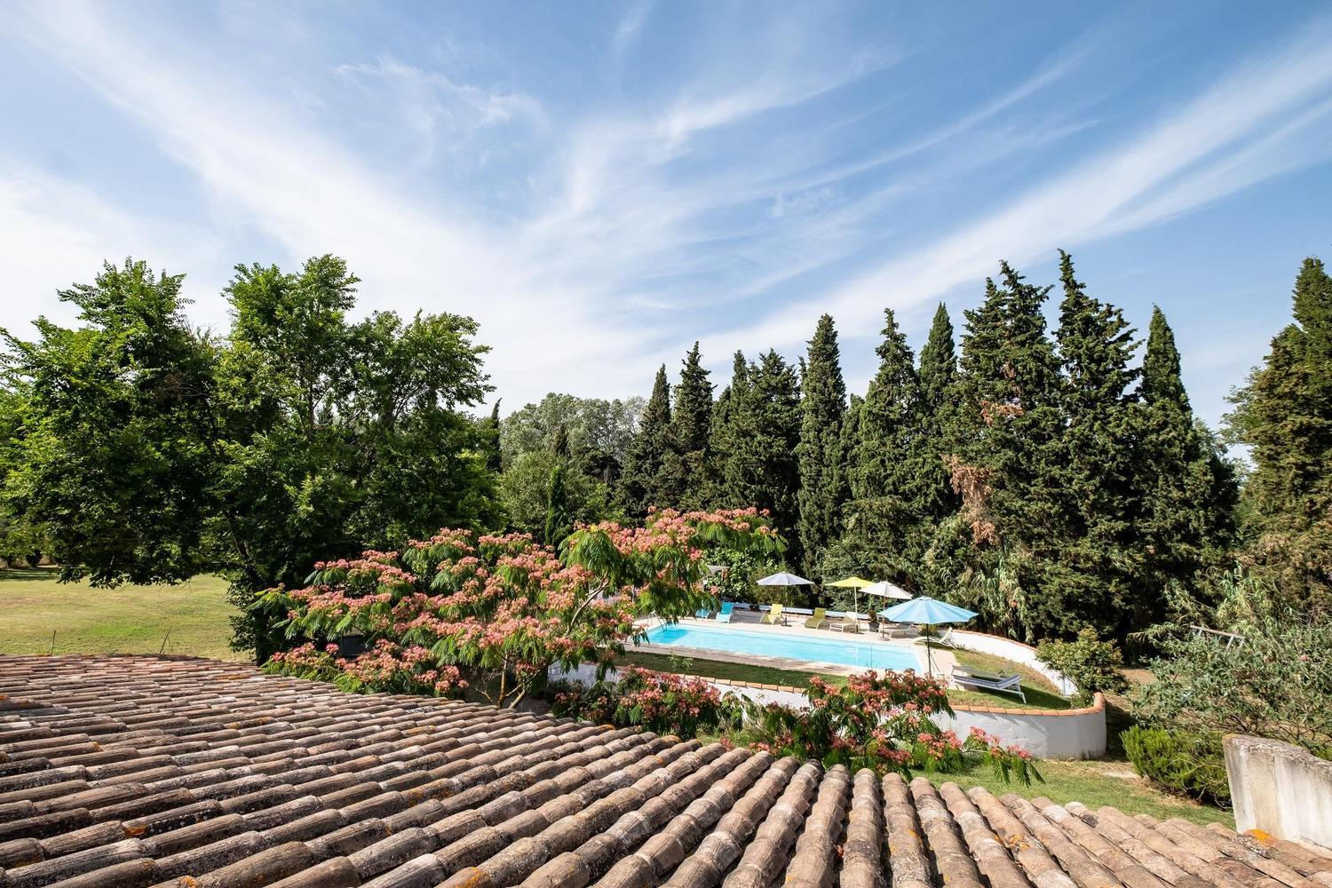 La Treille, Arles - photo 27