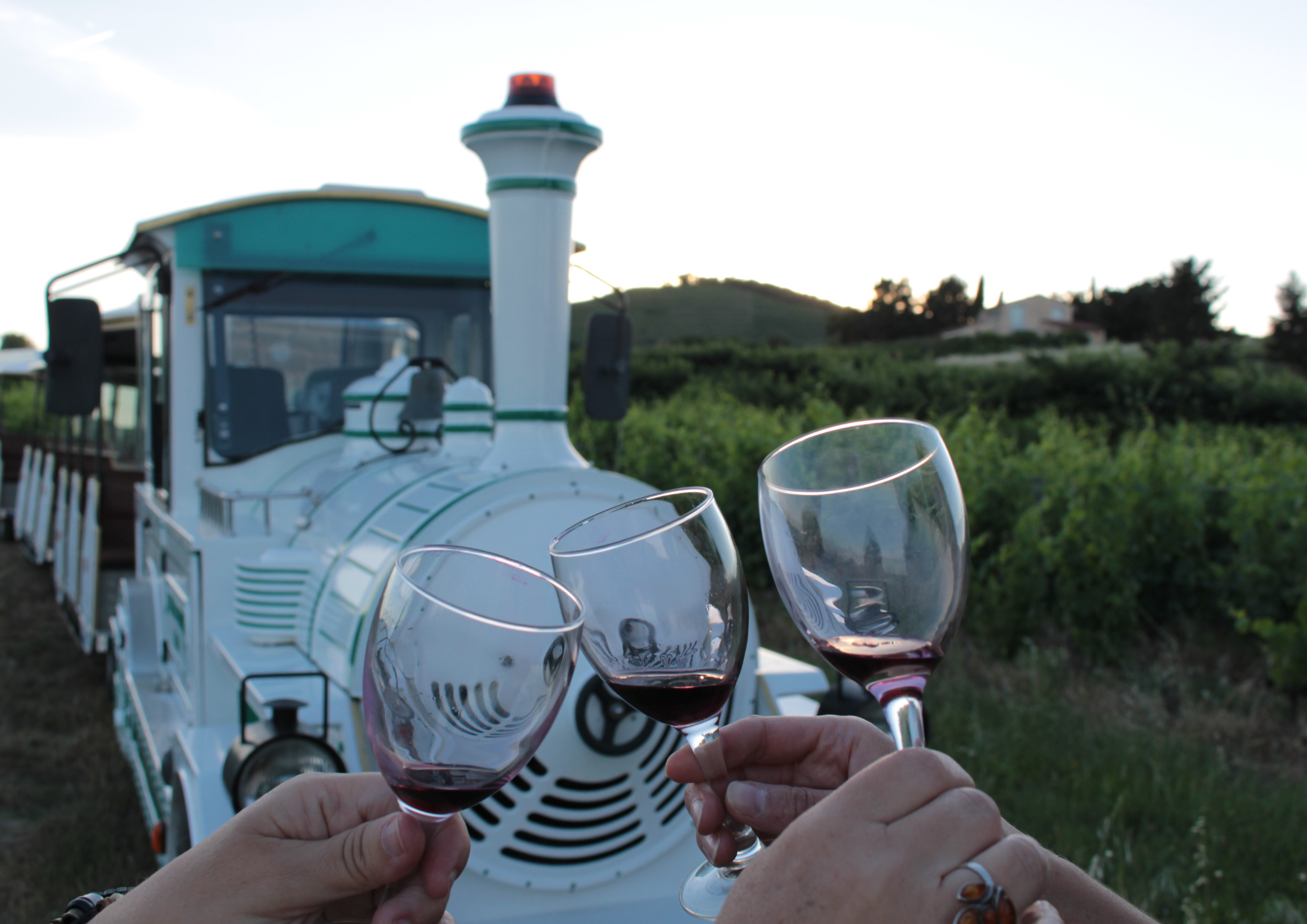 Soirée Les Vins de Viennes et Petit train des vignes à la Cages aux fleurs_Tain-l'Hermitage