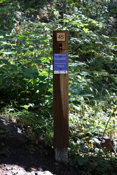 Course d'orientation