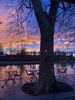 Couché de soleil hivernal Ⓒ Berges de l'Aviron