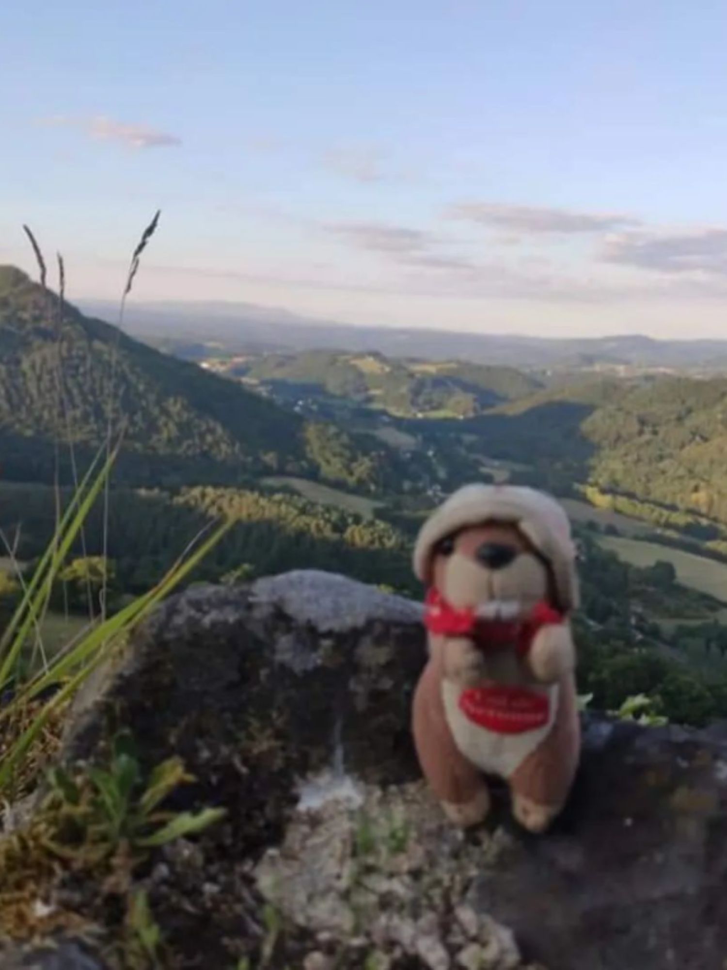 Mascotte