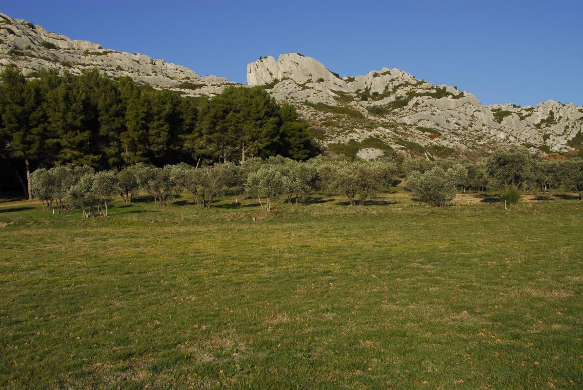 LES LAURIERS ROSES, Mouriès - photo 30