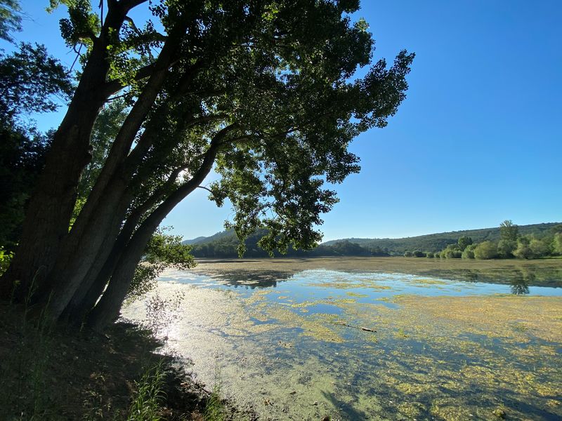Maison de la Pêche et de la Nature - Carcès