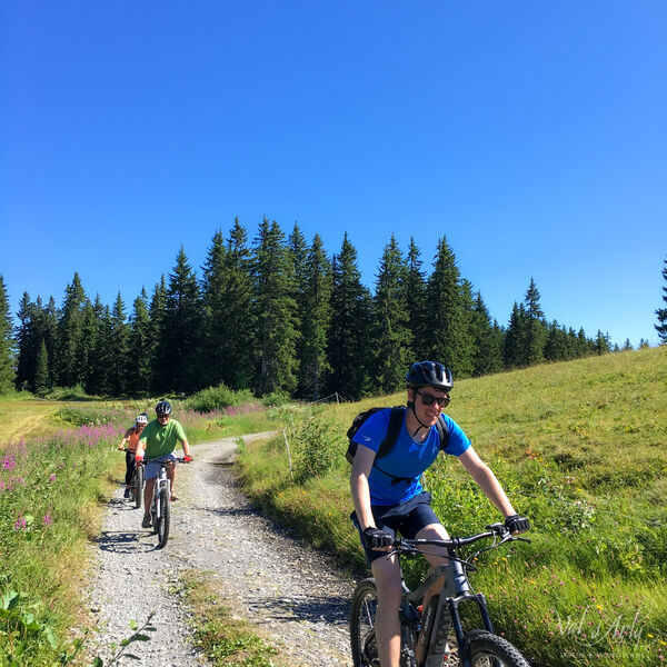 Bergerie de la Palette FFC n°68