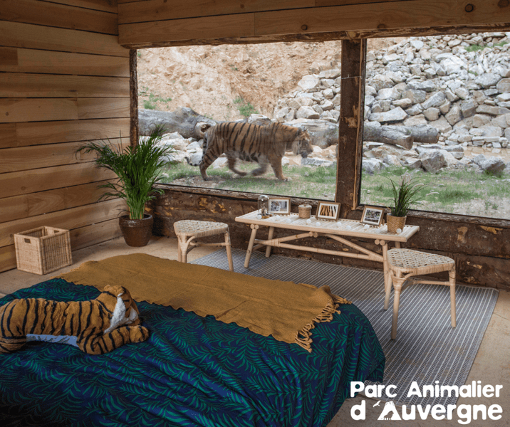 La Tête dans les Étoiles