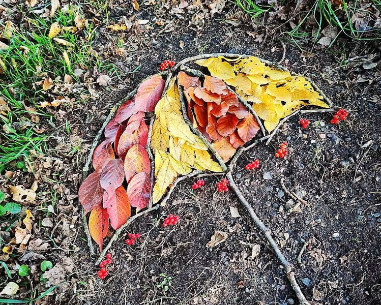 Atelier Land Art Nature