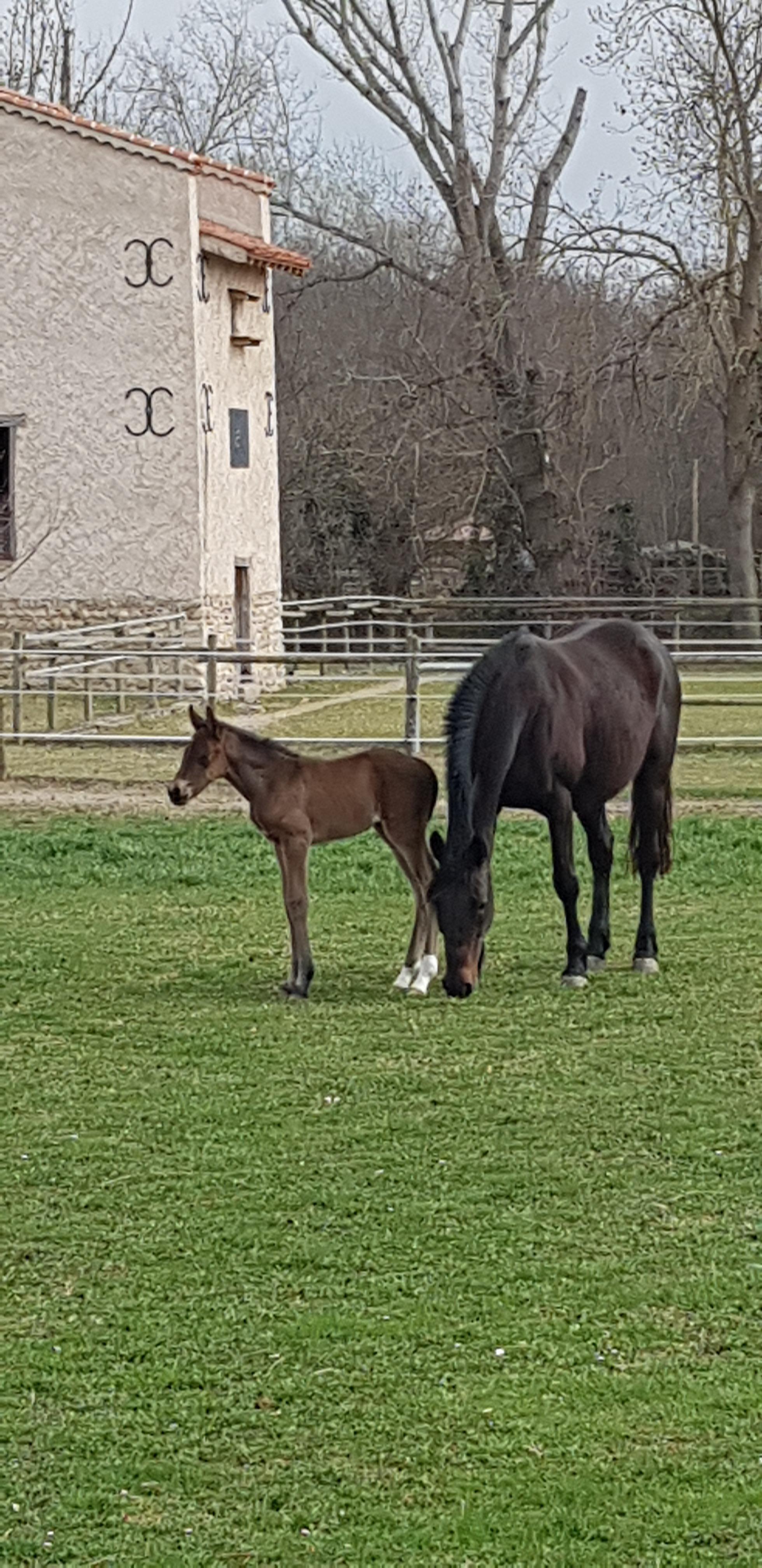 Ondine et Igor - Chambres d'hôtes
