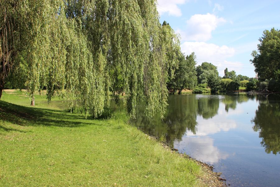 Etang de Civrieux