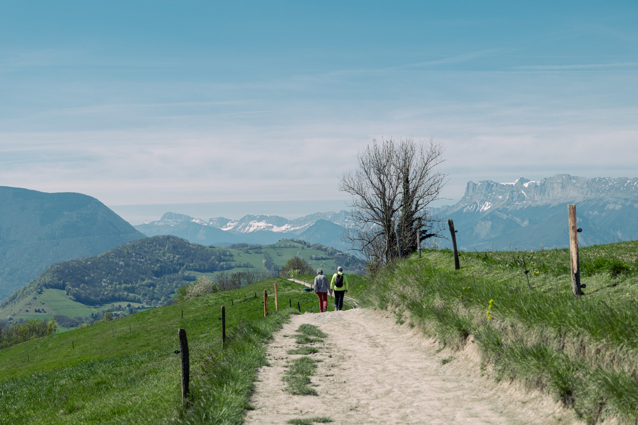 L’image montre un chemin de terre sinueux traversant une colline verdoyante, bordé de piquets et d’herbe, avec des montagnes lointaines partiellement enneigées sous un ciel dégagé.