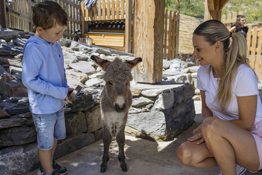 Ferme pédagogique Refuge de la Traye