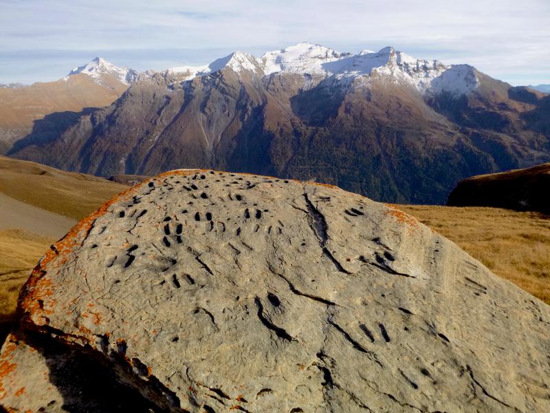 VISITE EN JOURNÉE DES ROCHES GRAVÉES_Val-Cenis