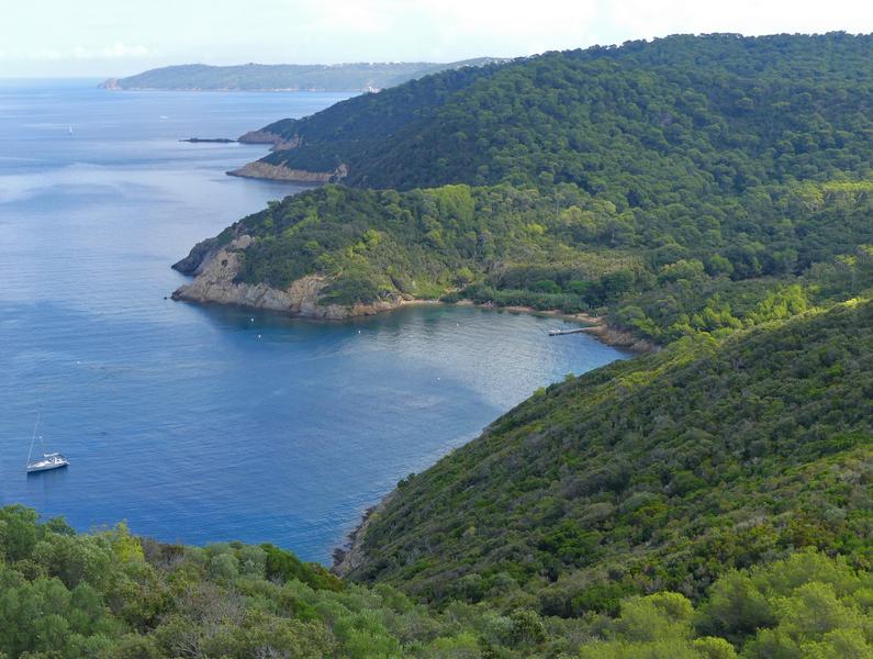 Côte nord de Port-Cros