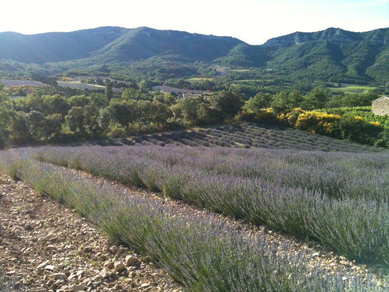 Village de La Roche Saint Secret (26770)