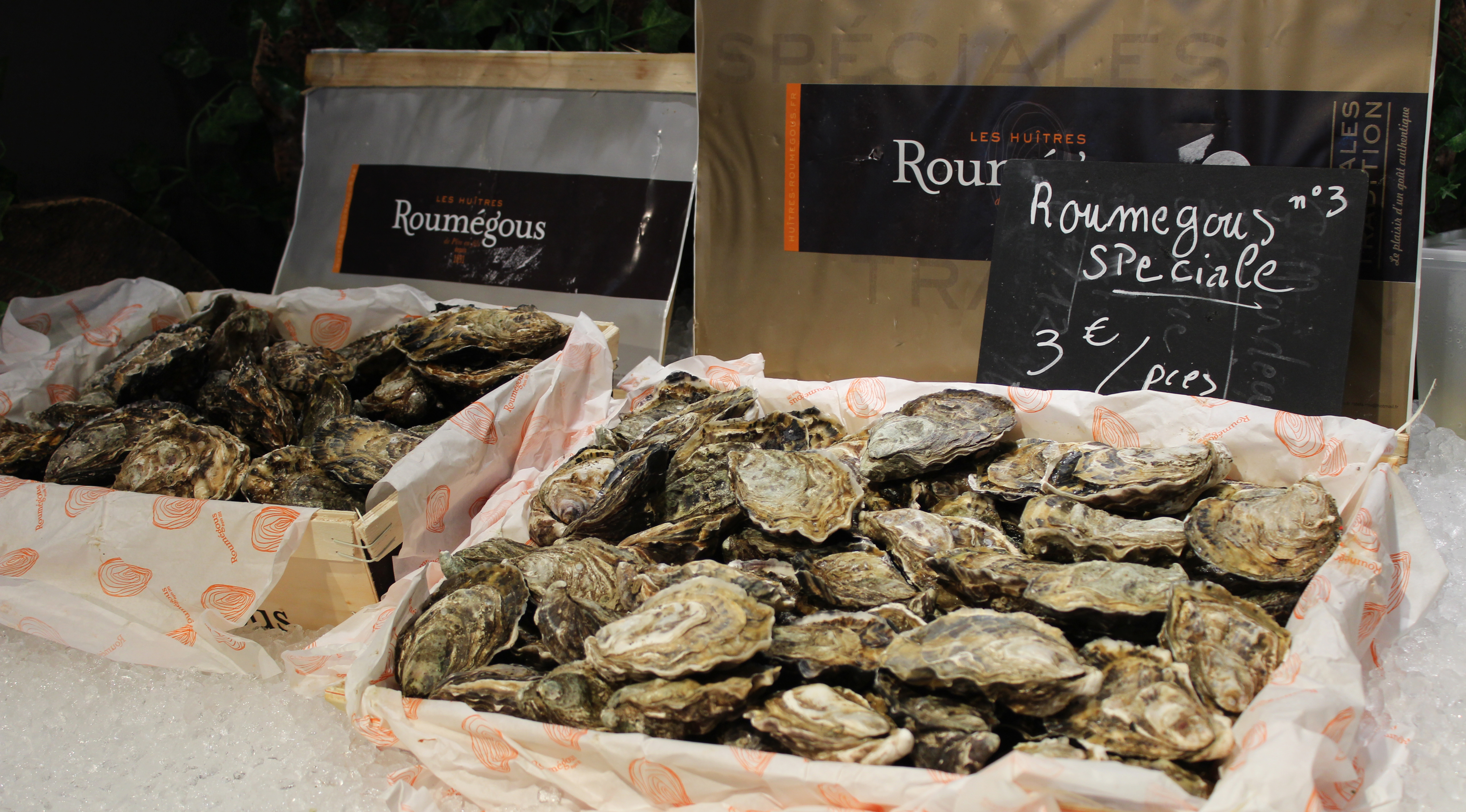 Les Halles de la Major