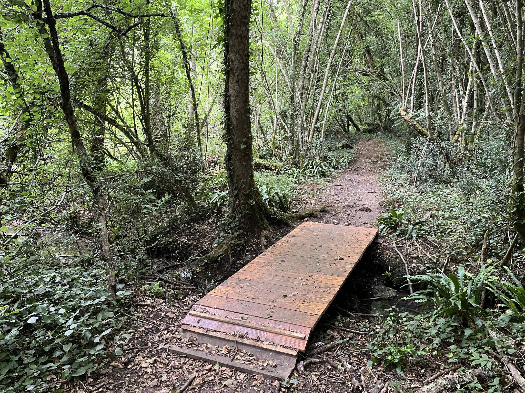 Via Bussac- circuit 2