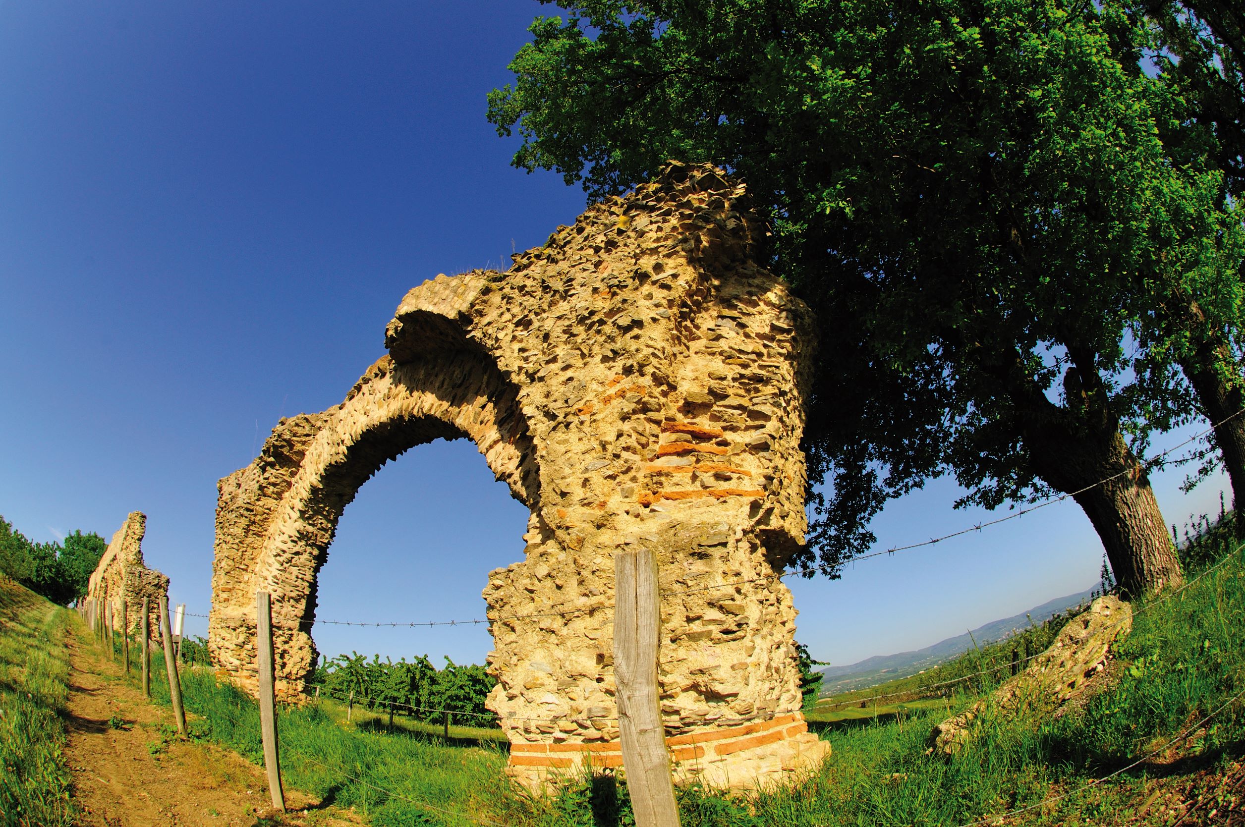Aqueduc romain du Gier - Le chameau