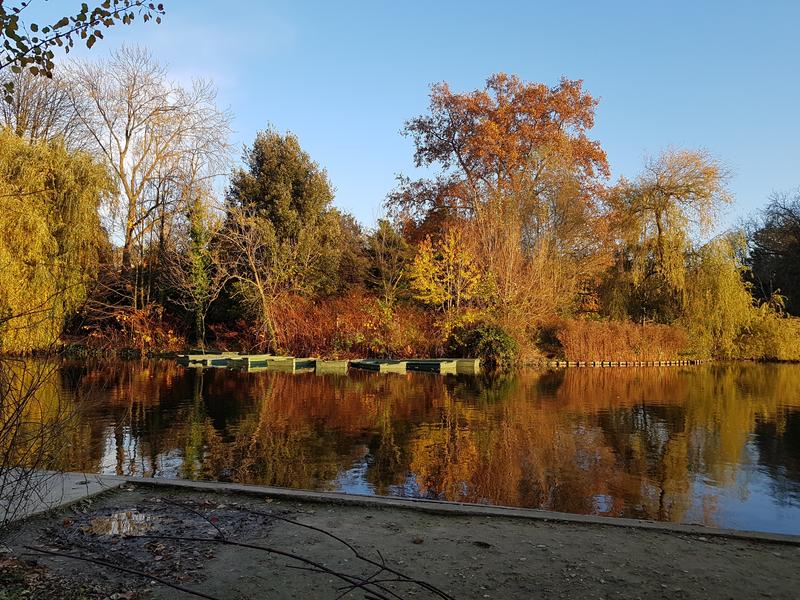 Bords du lac des Minimes dans le bois de Vincennes, en automne 