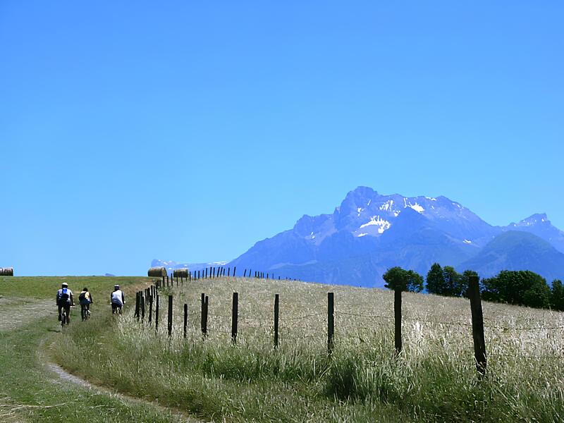 N°03 La Crête des Serres VTTAE - Bleu_Pierre-Châtel