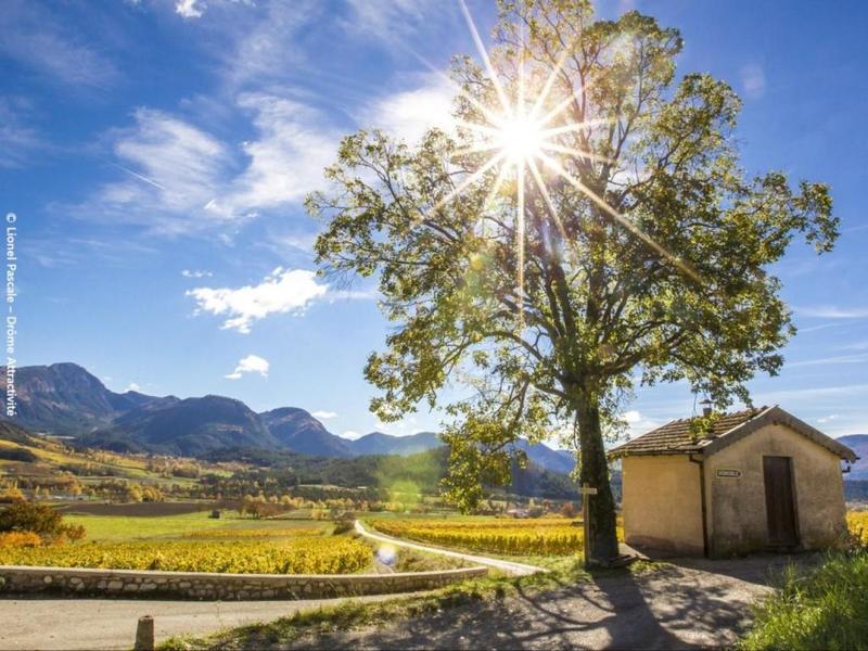 Le chemin des cabanons de vigne