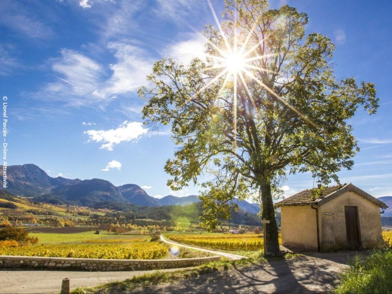 Le chemin des cabanons de vigne