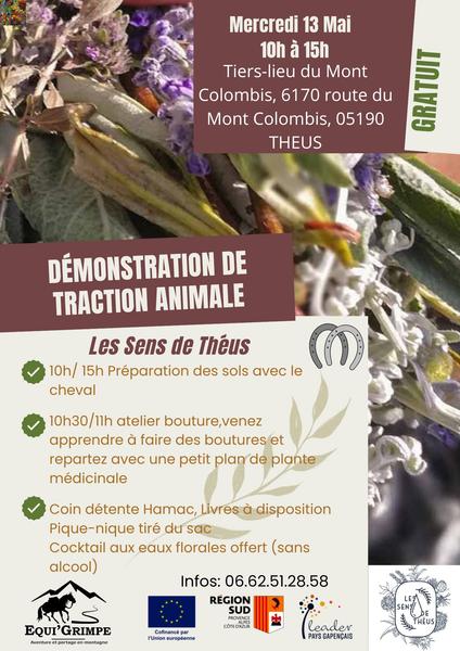Démonstration traction animale au Sens de Théus.