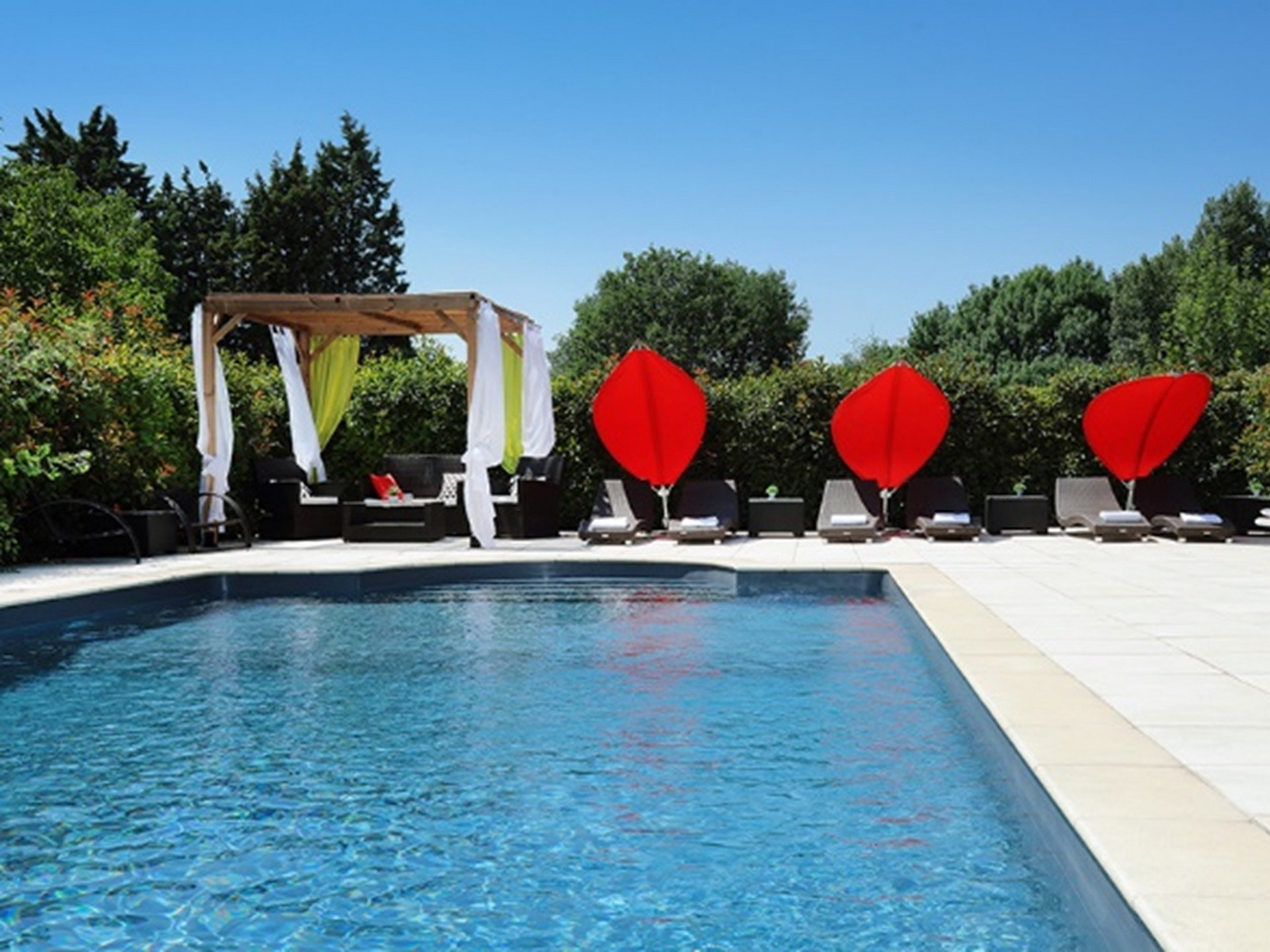 Déjeunez sous l'arbre, Rousset - photo 10