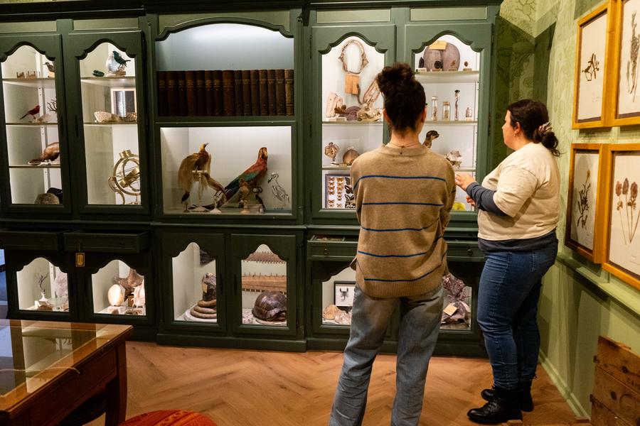Le Cabinet des Merveilles - au cœur des mystères de la nature_Montbrison