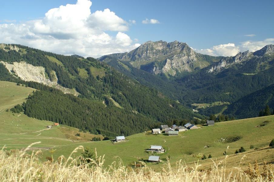 Randonnée au cœur des alpages de Vallon - Semaines du Géoparc_Bellevaux