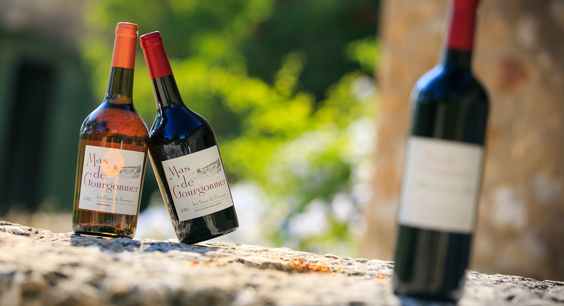 Mas de Gourgonnier - photo 5