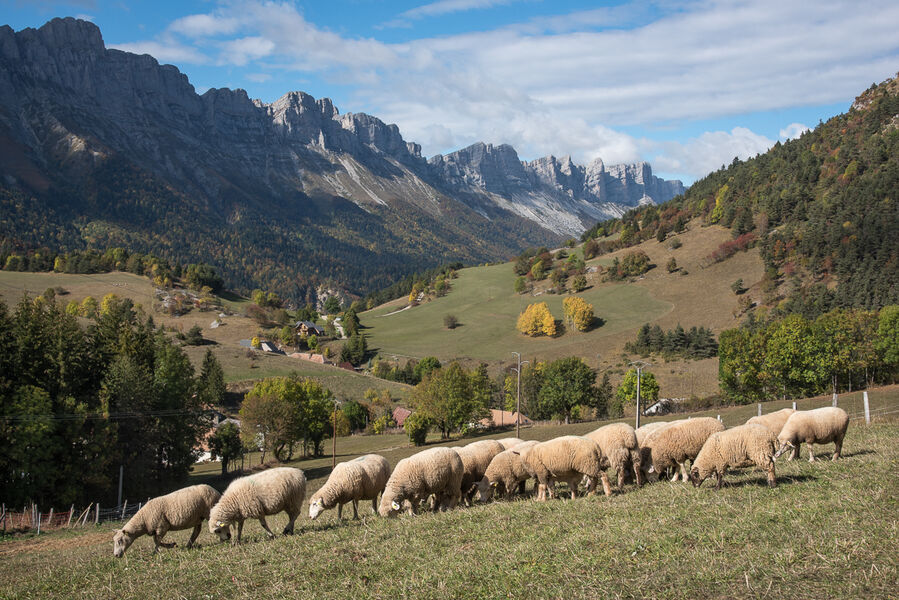 La Ferme du Grand-Veymont