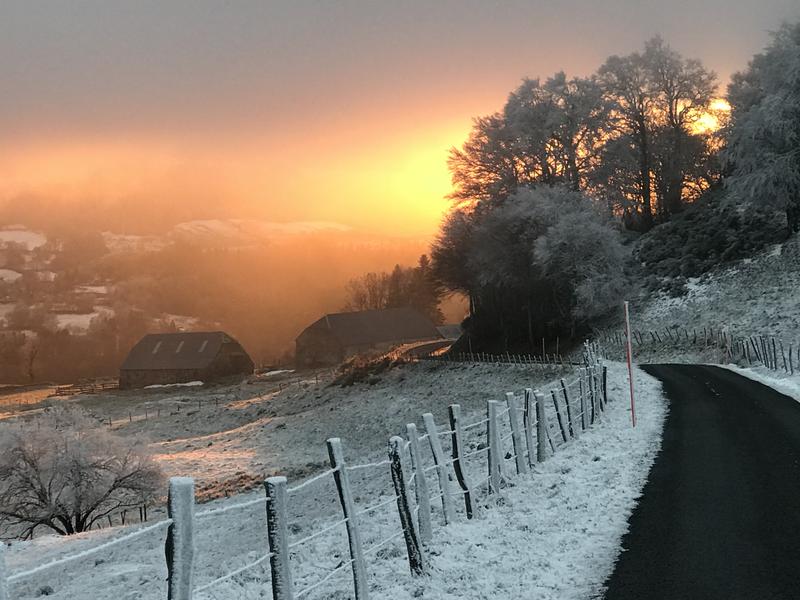 Polo Fabienne - La Forge des Estives
