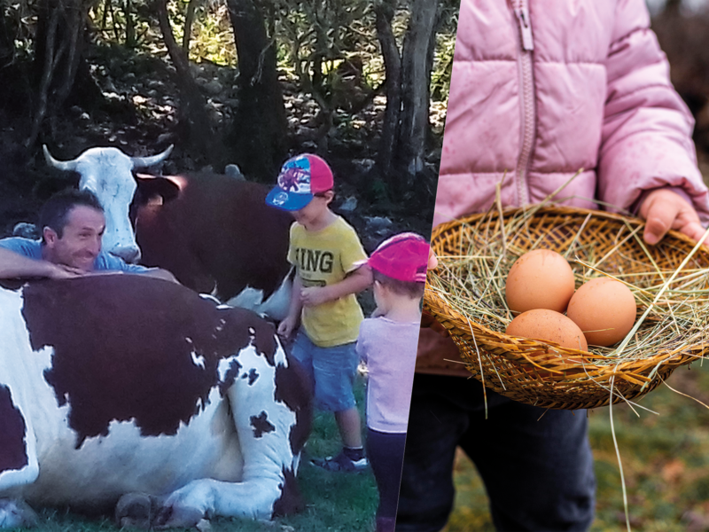 Câliner les animaux et découvrir leurs bienfaits