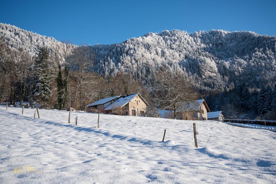 Christine Pascal - Photographe nature Aiguebelette