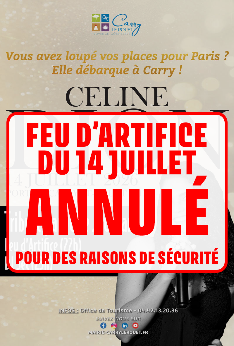 Tribute céline Dion