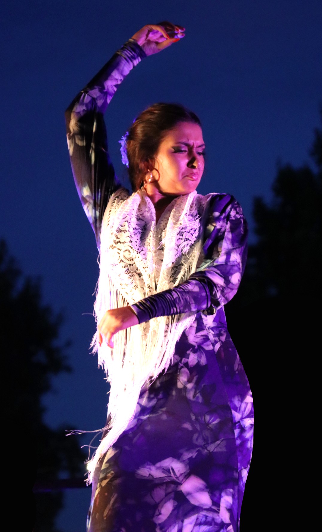 When Flamenco meets Gypsy violin” concert