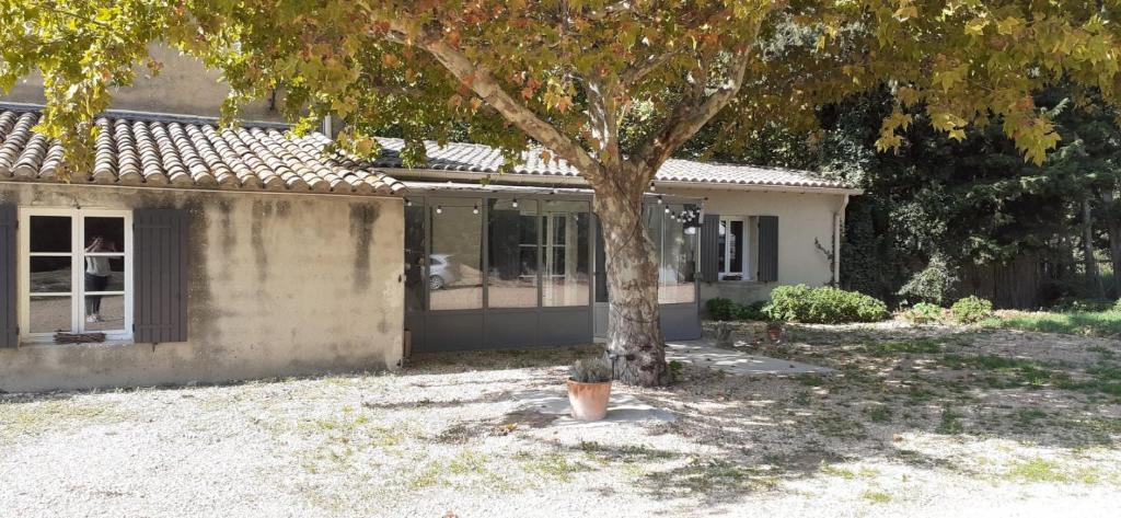 Gîte du Mistralet, Maillane - photo 12