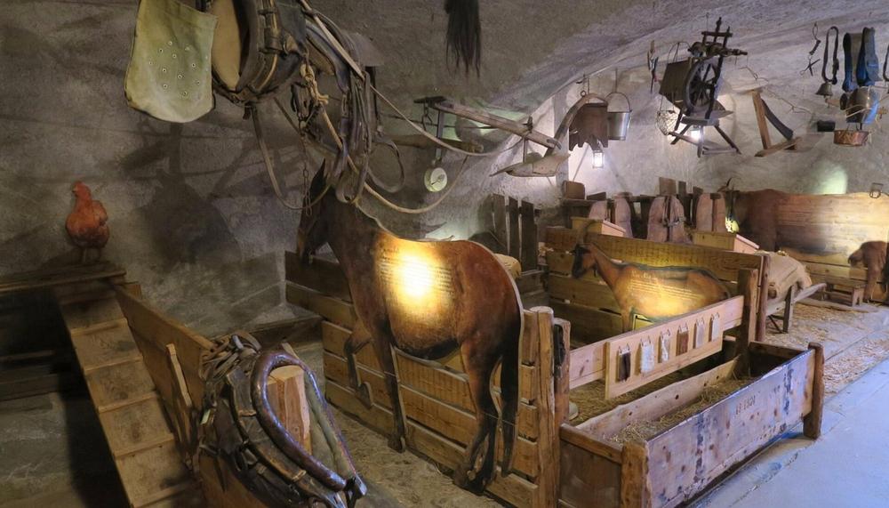 Visite de ferme - L'agriculture en milieu montagnard_Aussois