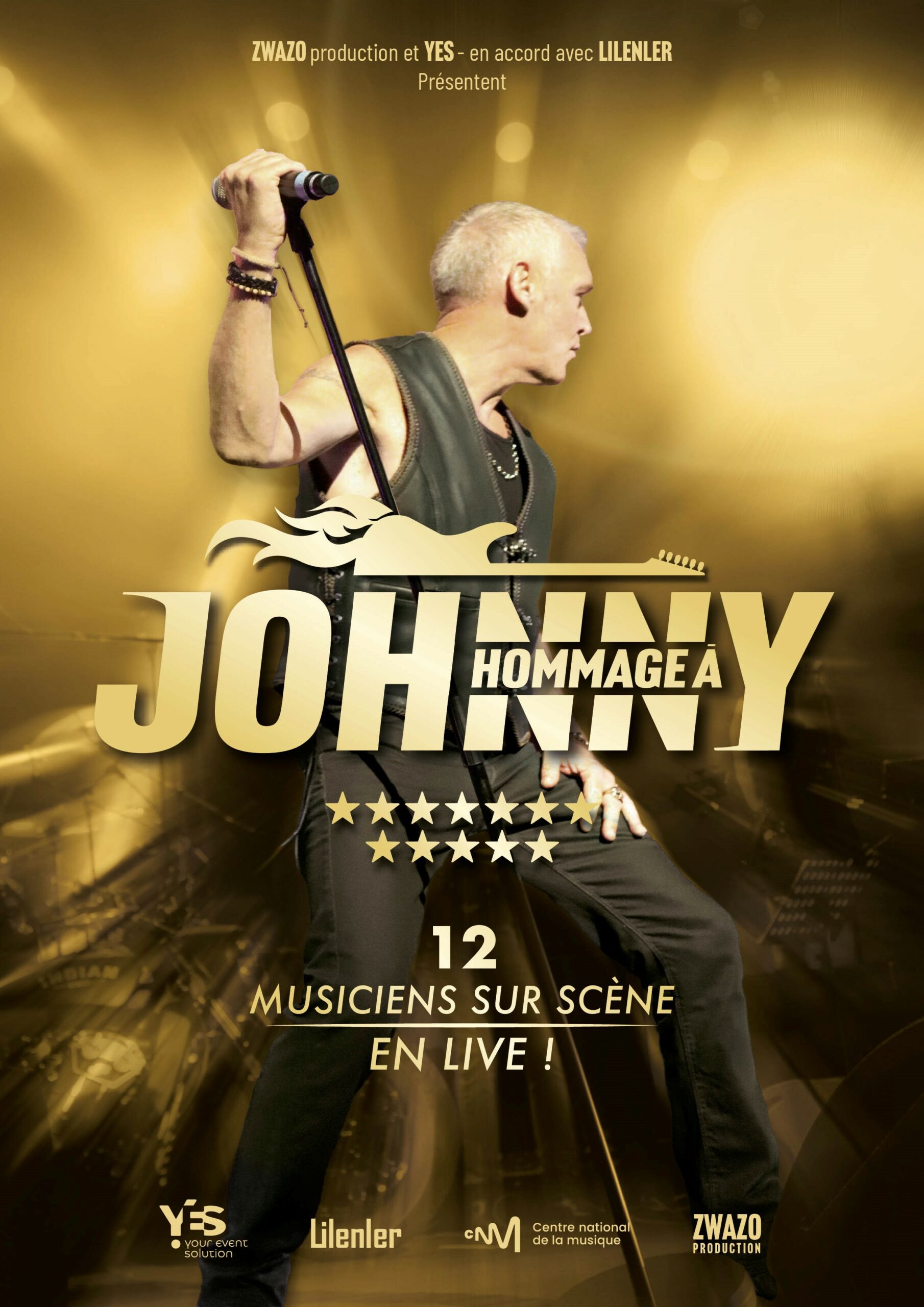 Show hommage à Johnny