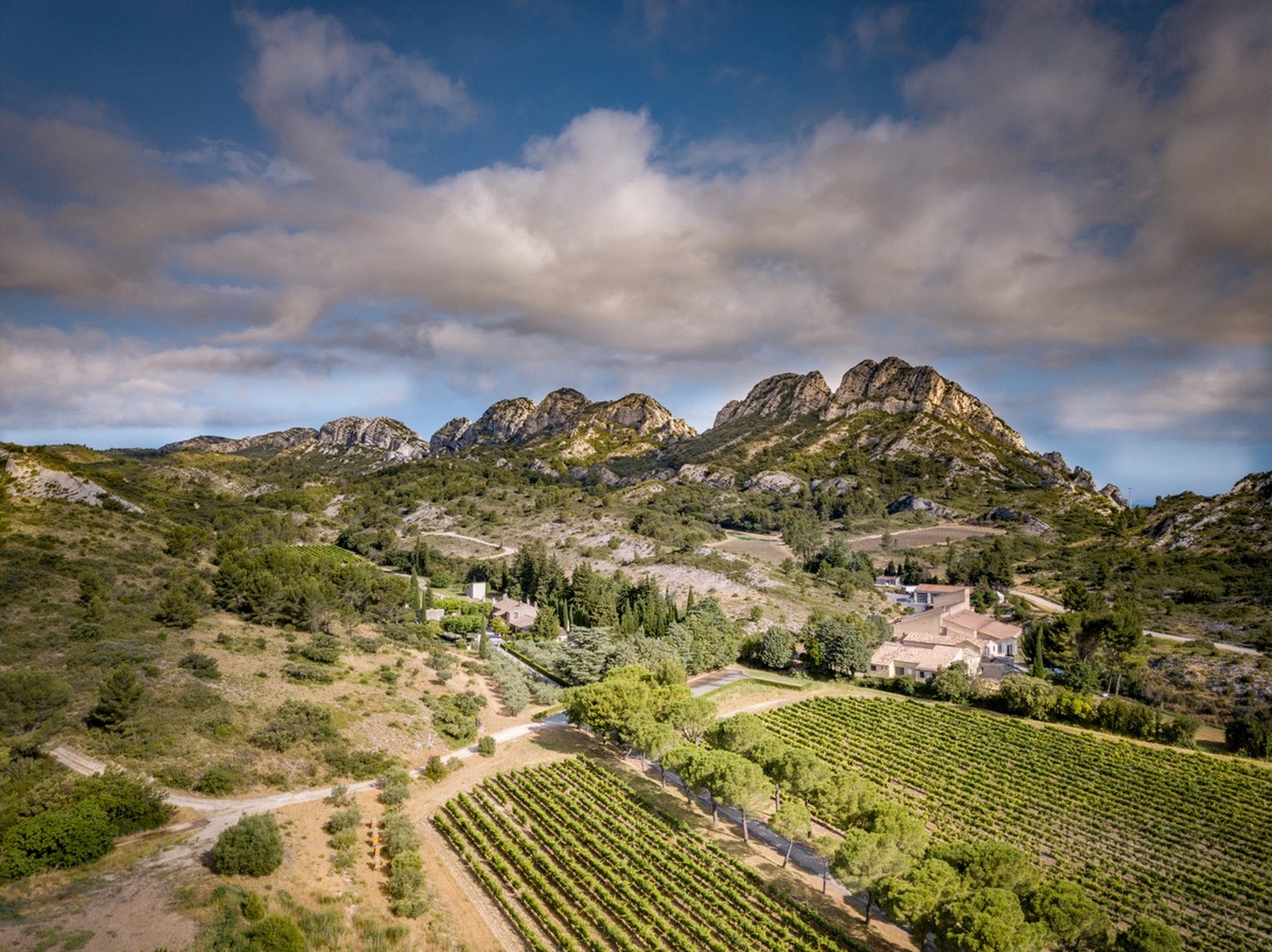 Domaine de la Vallongue
